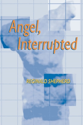 Angel Interrupted (Pitt Poetry Series)