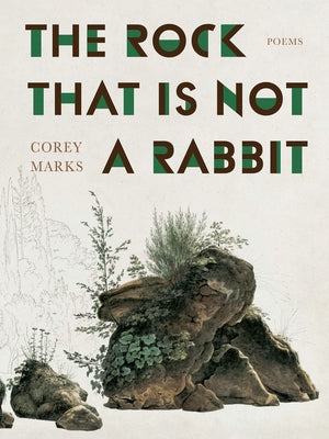 Rock That Is Not a Rabbit, The: Poems (Pitt Poetry Series)