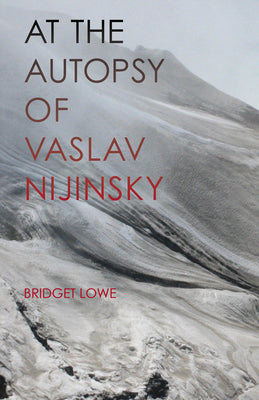 At the Autopsy of Vaslav Nijinsky (Carnegie Mellon Poetry)