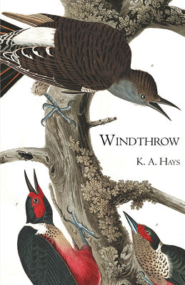 Windthrow (Carnegie Mellon Poetry)