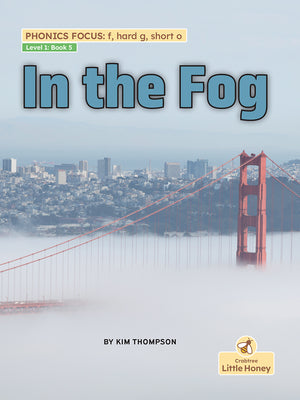 In the Fog (My Nonfiction Decodable Readers)