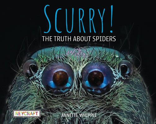 Scurry! The Truth About Spiders by Annette Whipple | Fun Facts, Photographs, Illustrations, & All Your Questions Answered | Ages 7-10 Grade Level 2-3 | Nonfiction Science & Nature | Reycraft Books