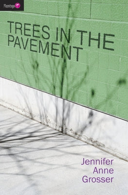 Trees in the Pavement (Flamingo Fiction 9-13s)