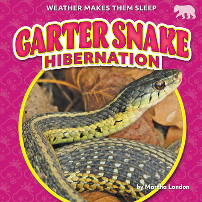 Garter Snake Hibernation - Nonfiction Reading for Grade 1 with Vibrant Illustrations & Photos - Developmental Learning for Young Readers - Bearcub Books Collection (Weather Makes Them Sleep)